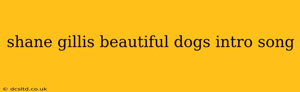 shane gillis beautiful dogs intro song
