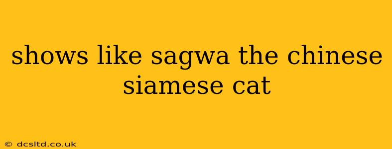 shows like sagwa the chinese siamese cat