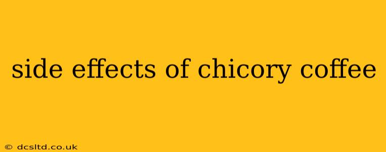 side effects of chicory coffee