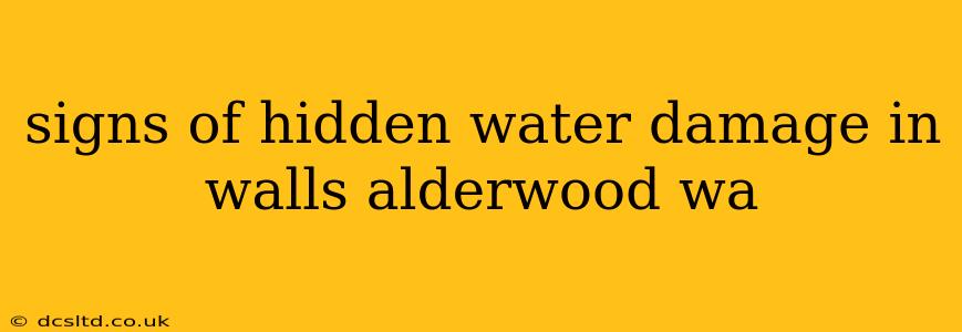 signs of hidden water damage in walls alderwood wa