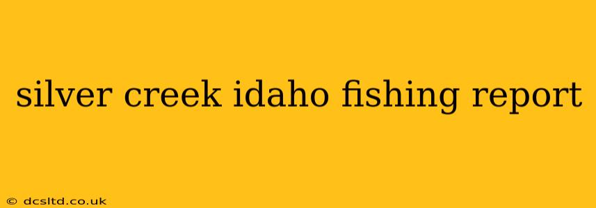 silver creek idaho fishing report