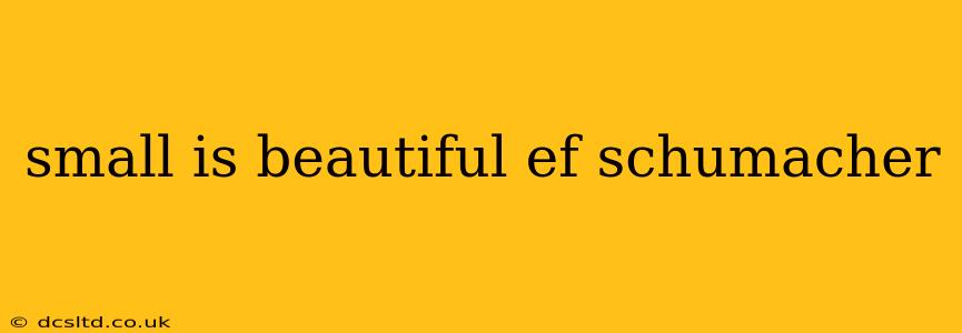 small is beautiful ef schumacher