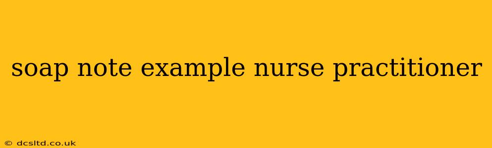 soap note example nurse practitioner