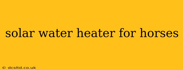 solar water heater for horses