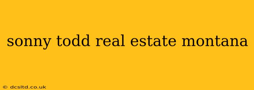 sonny todd real estate montana