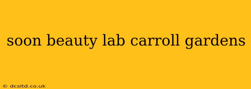 soon beauty lab carroll gardens