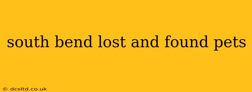 south bend lost and found pets