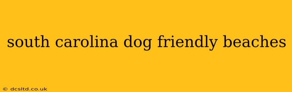 south carolina dog friendly beaches