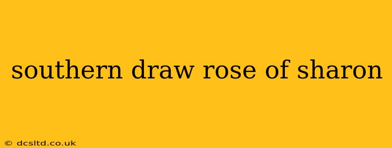 southern draw rose of sharon