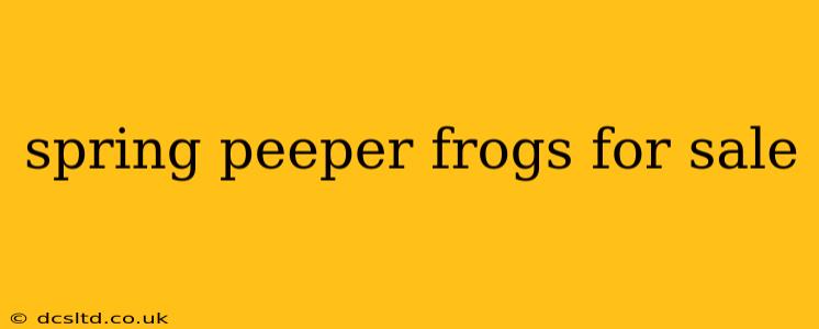spring peeper frogs for sale