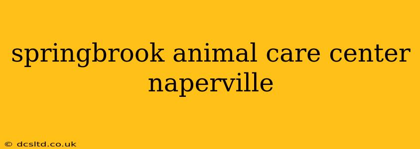 springbrook animal care center naperville