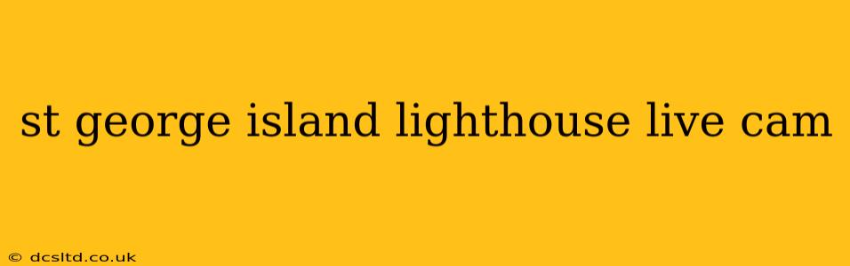 st george island lighthouse live cam