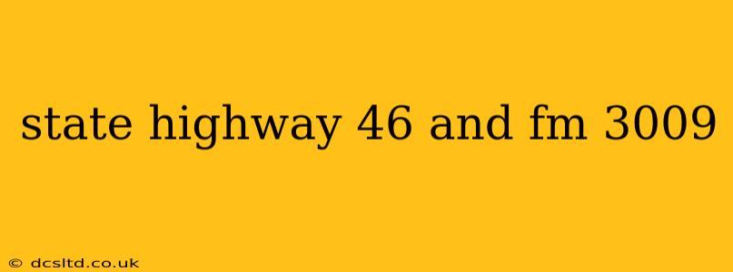 state highway 46 and fm 3009
