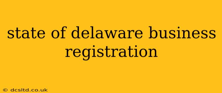 state of delaware business registration