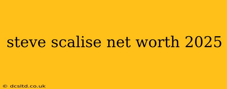 steve scalise net worth 2025