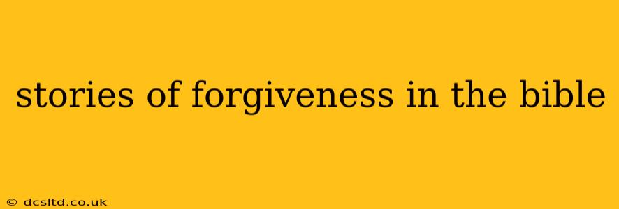 stories of forgiveness in the bible