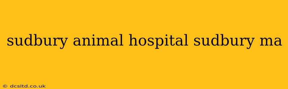 sudbury animal hospital sudbury ma