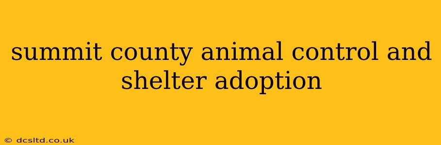 summit county animal control and shelter adoption