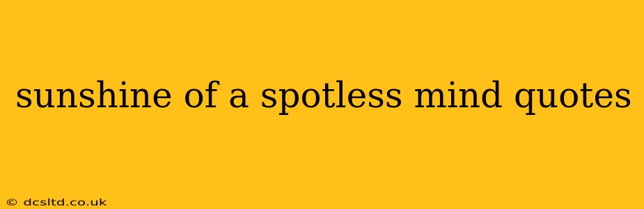 sunshine of a spotless mind quotes