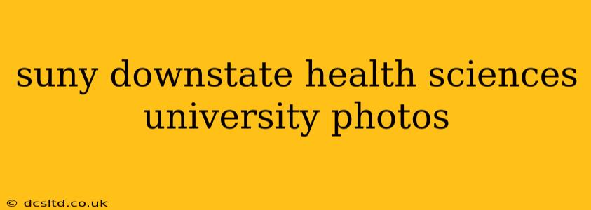 suny downstate health sciences university photos