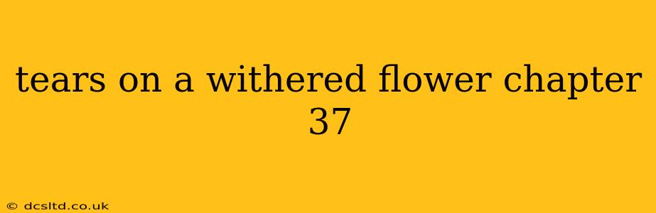 tears on a withered flower chapter 37