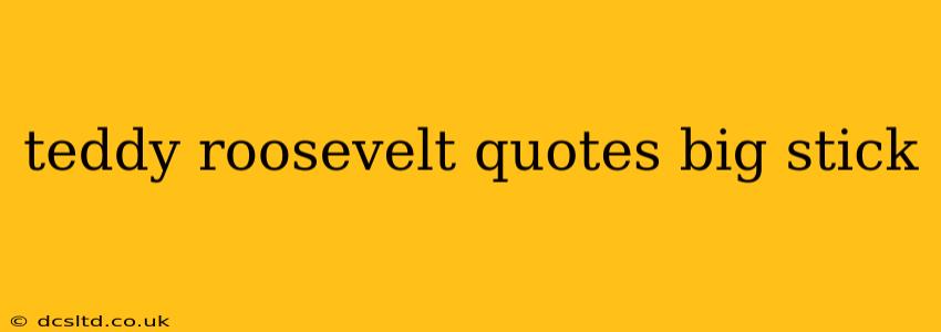teddy roosevelt quotes big stick
