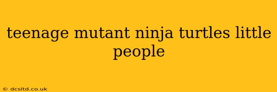 teenage mutant ninja turtles little people