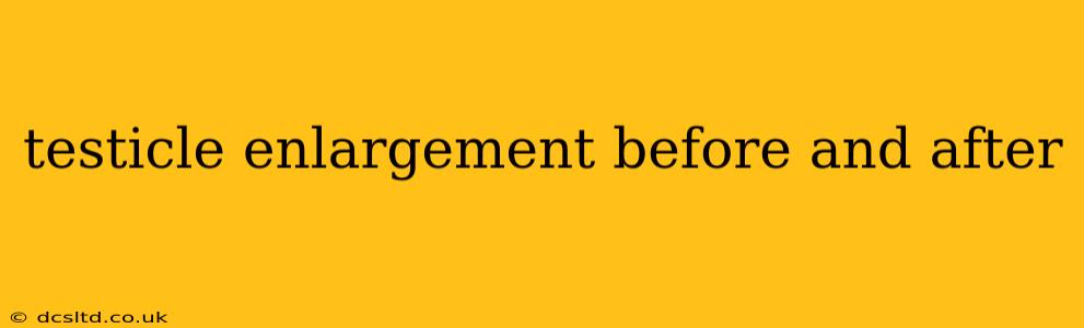 testicle enlargement before and after