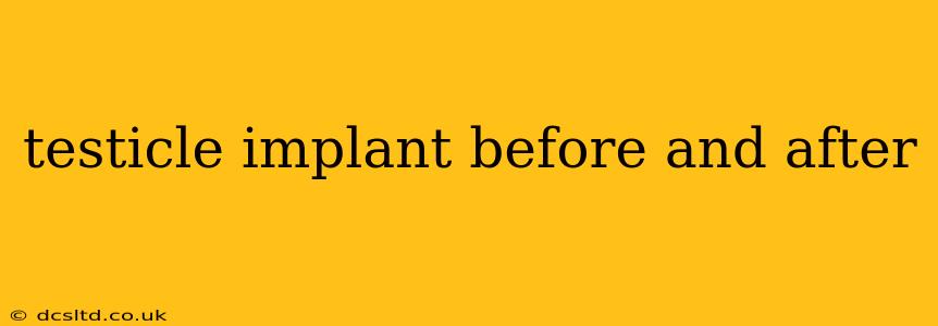 testicle implant before and after