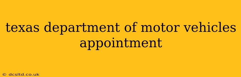 texas department of motor vehicles appointment