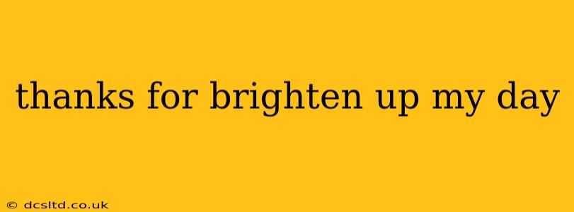 thanks for brighten up my day thanks for brighten up my day