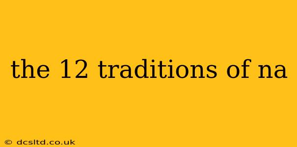 the 12 traditions of na