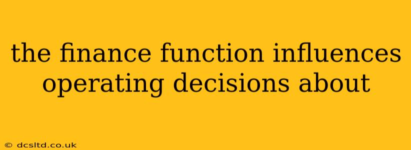 the finance function influences operating decisions about