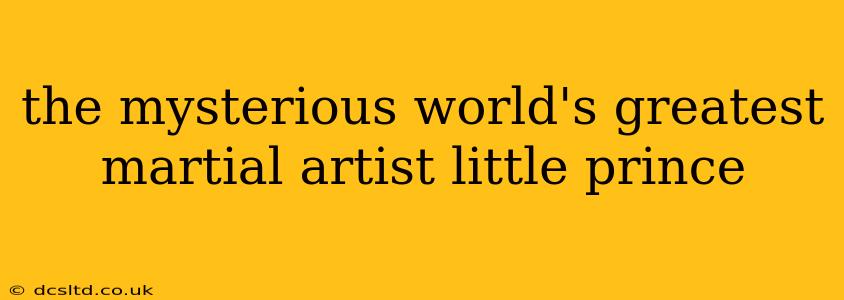 the mysterious world's greatest martial artist little prince