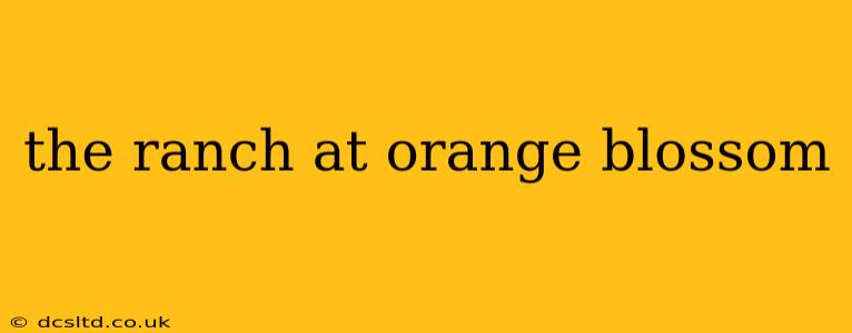 the ranch at orange blossom