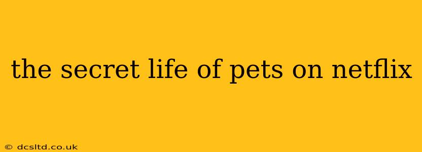 the secret life of pets on netflix