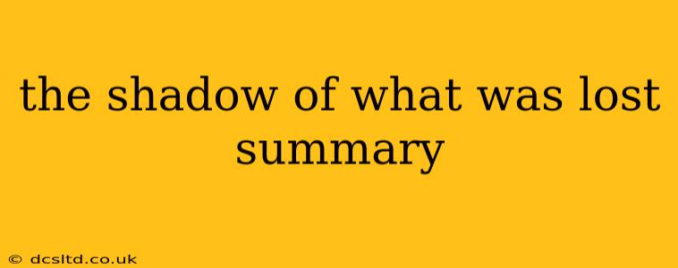 the shadow of what was lost summary