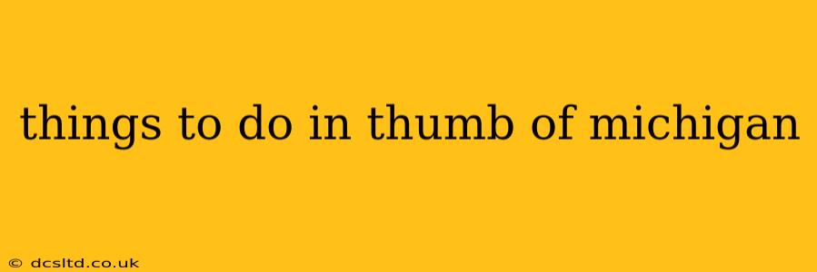 things to do in thumb of michigan