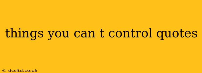 things you can t control quotes