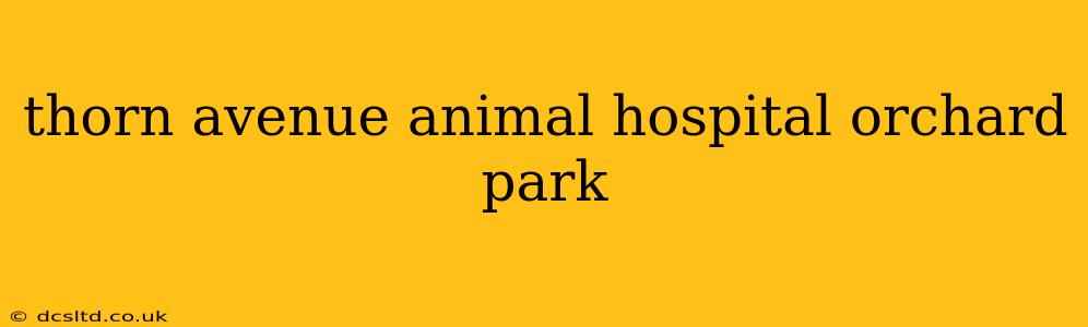 thorn avenue animal hospital orchard park