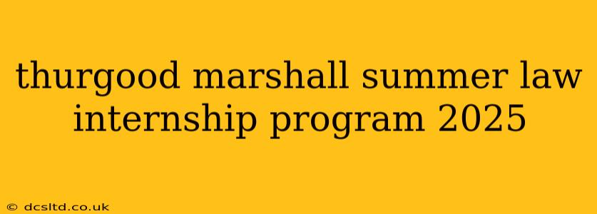 thurgood marshall summer law internship program 2025
