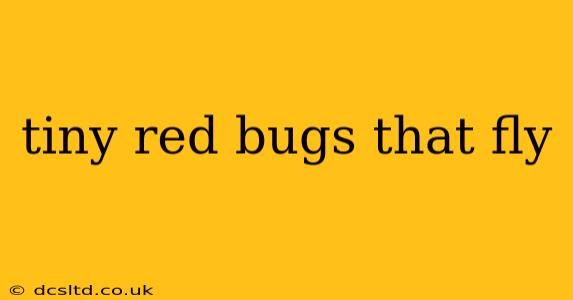 tiny red bugs that fly