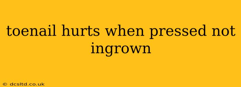 toenail hurts when pressed not ingrown