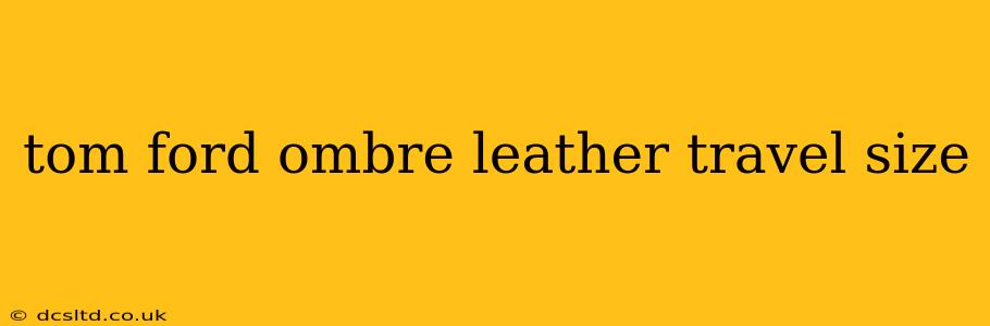 tom ford ombre leather travel size