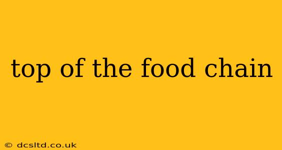 top of the food chain