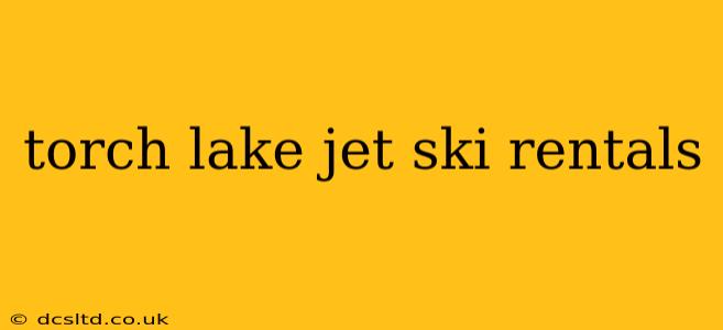 torch lake jet ski rentals