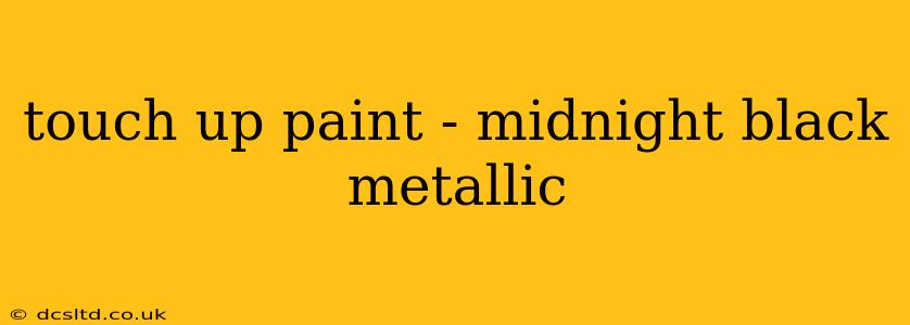 touch up paint - midnight black metallic