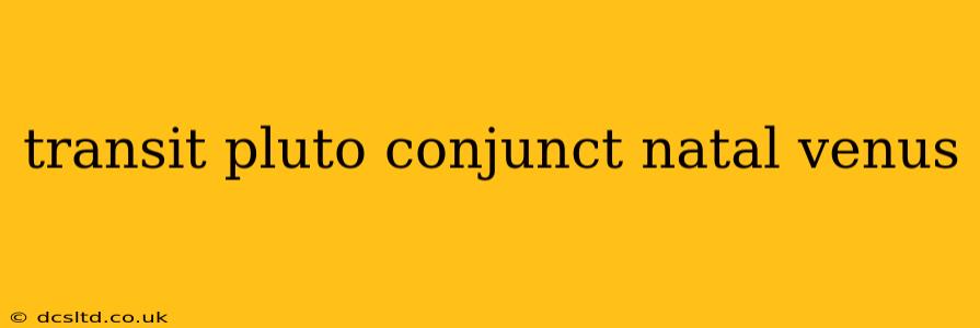 transit pluto conjunct natal venus