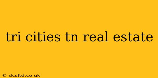 tri cities tn real estate