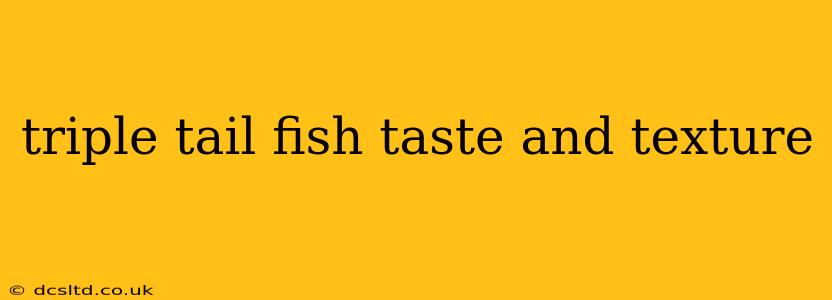 triple tail fish taste and texture